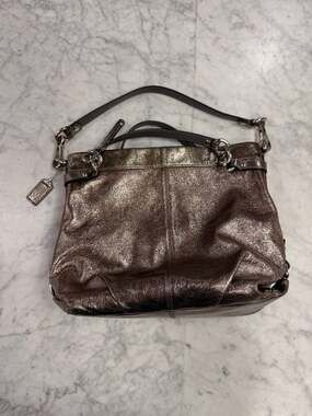 Coach Brooke Convertible Pinkish Pewter Metallic Leather Hobo Bag F17165